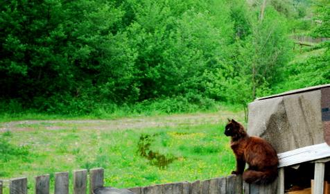 Гостевой двор "Двенадцать месяцев", с. Хамышки