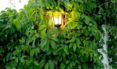 Гостевой двор "Двенадцать месяцев", с. Хамышки