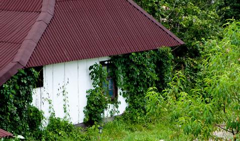 Гостевой двор "Двенадцать месяцев", с. Хамышки