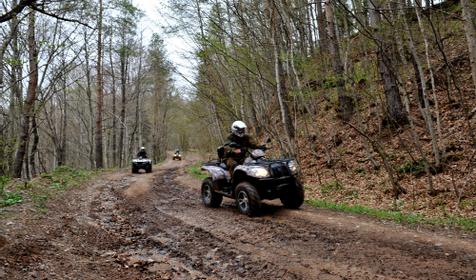 Гостевой комплекс "Юлена - Хамышки", с. Хамышки