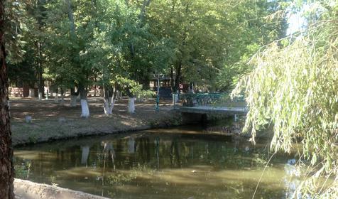 Территория. База отдыха Лесная, республика Адыгея, Шапшугжское шоссе