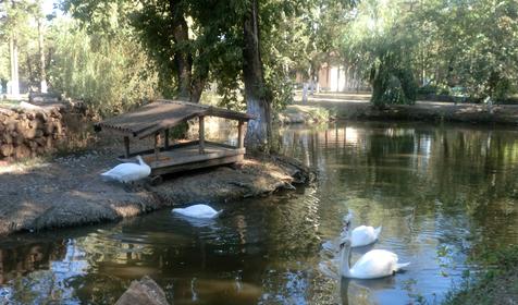 Территория. База отдыха Лесная, республика Адыгея, Шапшугжское шоссе