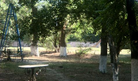 Территория. База отдыха Лесная, республика Адыгея, Шапшугжское шоссе