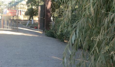 Территория. База отдыха Лесная, республика Адыгея, Шапшугжское шоссе