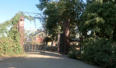 Территория. База отдыха Лесная, республика Адыгея, Шапшугжское шоссе