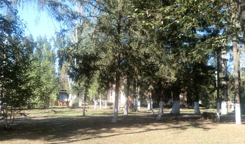 Территория. База отдыха Лесная, республика Адыгея, Шапшугжское шоссе