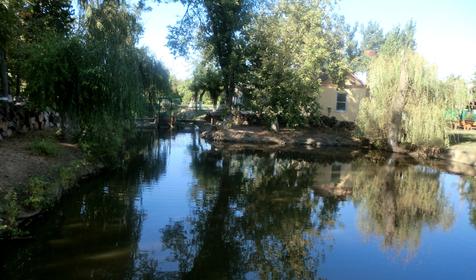 Территория. База отдыха Лесная, республика Адыгея, Шапшугжское шоссе