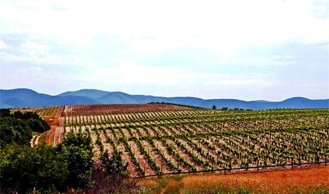 Гай-Кодзор. Анапа