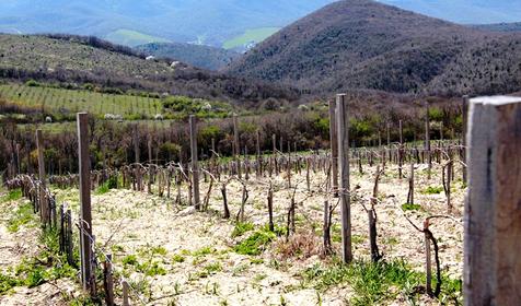 Гай-Кодзор. Анапа