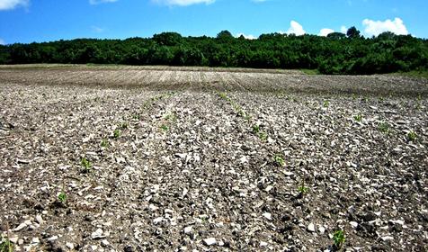 Гай-Кодзор. Анапа