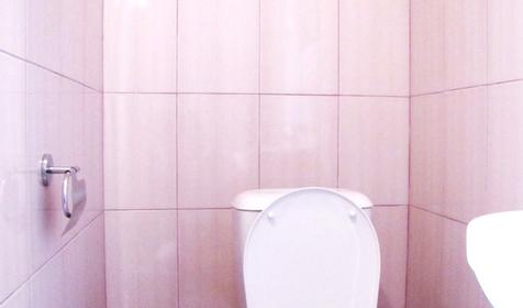 Двухместный номер с балконом. Гостевой дом У Кота, г. Сочи, пос. Лазаревское