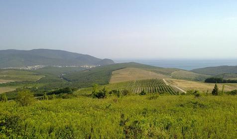 Варваровка. Анапа. Природа