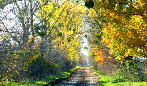 Гостагаевская. станица. Анапа