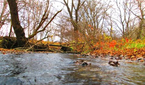 Гостагаевская. станица. Анапа