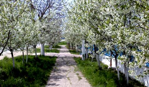 Гостагаевская. станица. Анапа