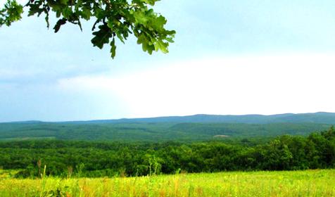 Гостагаевская. станица. Анапа
