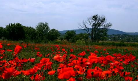 Гостагаевская. станица. Анапа