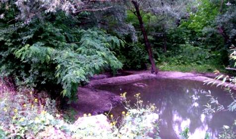 пруд на ул. Мира. Гостагаевская. Анапа