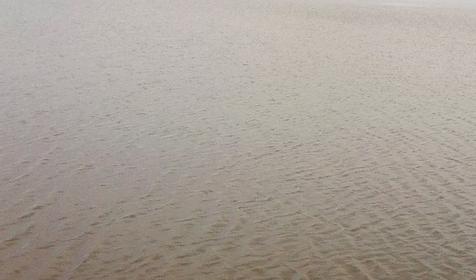 платный рыболовный пруд в Джигинке. Анапа