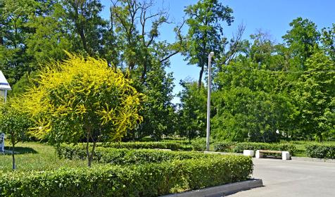Парк культуры и отдыха в Виноградном. Анапа