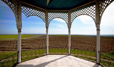 Беседка "Роза Ветров" в Виноградном. Анапа