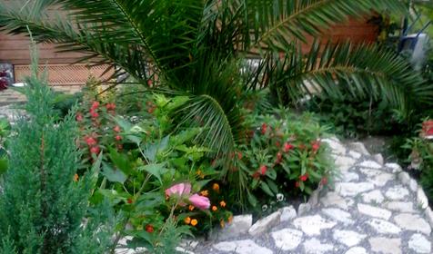 Гостевой дом "Арина", г. Адлер