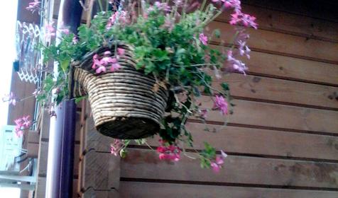 Гостевой дом "Арина", г. Адлер