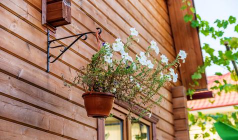 Гостевой дом "Арина", г. Адлер