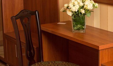 Бизнес-стандарт. Отель Фидель, г. Краснодар