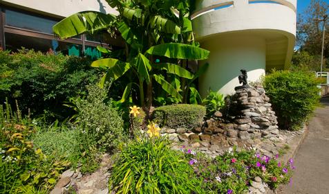 Пансионат Олимпийский-Дагомыс, г. Сочи, Лазаревский район, п. Дагомыс