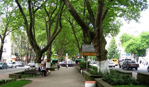 Платановая аллея, г. Туапсе