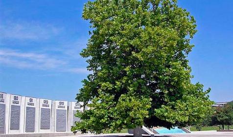 Мемориал "Долина смерти", г. Новороссийск, Мысхако