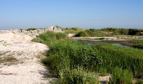 Озеро Ханское. Ейский район