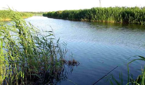 Озеро Ханское. Ейский район