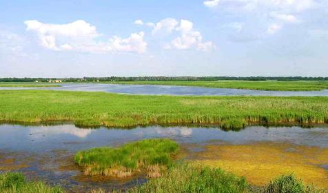 Озеро Ханское. Ейский район