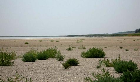 Озеро Ханское. Ейский район