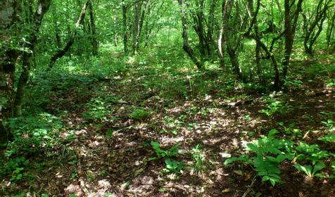 Таинственный Архоград. Михайловский перевал. Геленджик