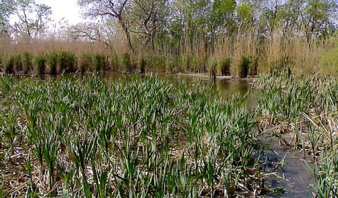 поселок Юровка. Анапа