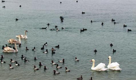 Центральный пляж Геленджика
