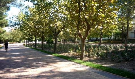 Парк им. Фрунзе, г. Новороссийск