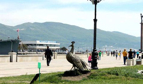 Бронзовый павлин, г. Новороссийск