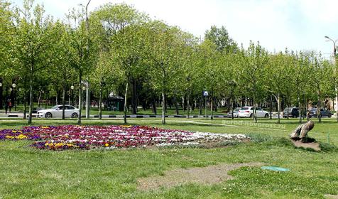 Бронзовый павлин, г. Новороссийск