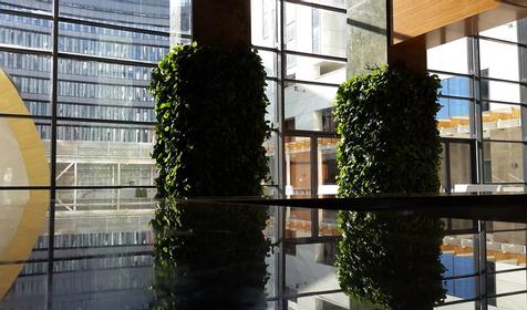 Лобби-бар. Adler Hotel&SPA, Сочи, Адлерский район