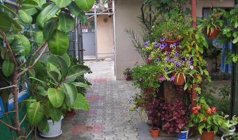 Гостевой дом Тенистый дворик, г. Анапа