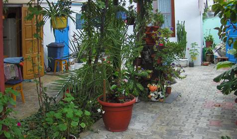 Гостевой дом Тенистый дворик, г. Анапа