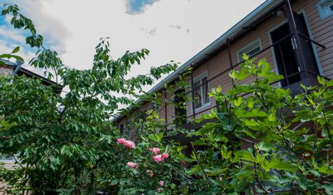 Гостевой дом Магнолия, пос. Новомихайловский