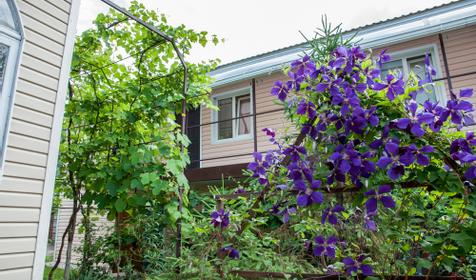 Гостевой дом Магнолия, пос. Новомихайловский