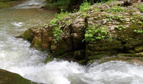 Гостевой дом Темнолесский, ст. Темнолесская