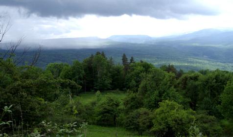 Гостевой дом Темнолесский, ст. Темнолесская