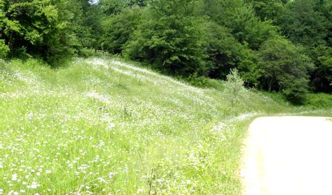 Гостевой дом Темнолесский, ст. Темнолесская